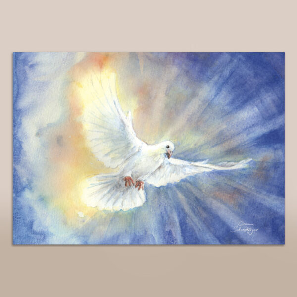 Poster Weiße Taube A4